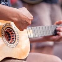 White Orchid River Cruise with International Buffet Dinner & Unlimited Beer — gallery 2