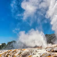 From Auckland: Hobbiton & Te Puia Tour with Festive Lunch & Hangi Dinner Buffet — gallery 4