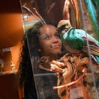 Choco-Story Paris + Musée Grévin + Aquarium de Paris — gallery 1