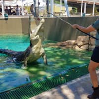 Crocosaurus Cove Tickets — gallery 2