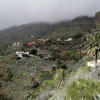 Teide National Park, Icod de los Vinos, Garachico & Masca: Guided Tour — gallery 3