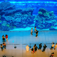 Dubai Aquarium & Underwater Zoo: Gold Pass — gallery 2