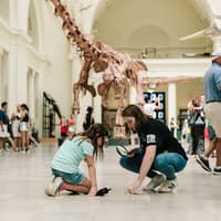 Go City Chicago Explorer Pass: Choose from 39 Attractions — gallery 4
