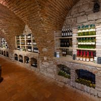 Guided Wine Tasting in a Private Wine Cellar — gallery 3