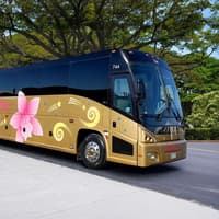 Haleiwa & Dole Plantation Express Half-Day Tour — gallery 2