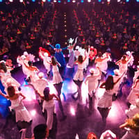 Calypso Cabaret Tickets — gallery 3
