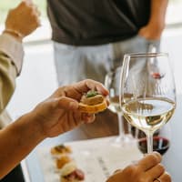 Jean Leon Winery: Guided Tour + Wine & Tapas Pairing — gallery 2