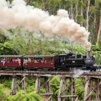 From Melbourne: Puffing Billy Steam Train Half-Day Tour with Transfers — gallery 1