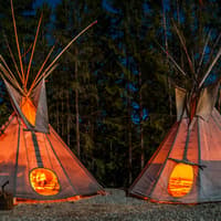 From Krakow: Tatra Mountains Dog Sledding Tour — gallery 4