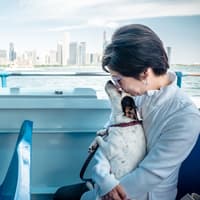 Chicago: Canine Cruise — gallery 4
