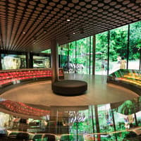 FIFA Museum: Entry Ticket — gallery 2