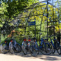 Amsterdam: Small Group Guided Bike Tour — gallery 3