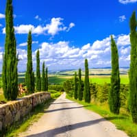 From Florence: Siena and Chianti Day Trip with Dinner & Regional Pairings — gallery 4