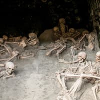 Herculaneum Private Guided Tour with an Archaeologist — gallery 5