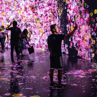 Experiència d'Art Immersiu Superblue Miami amb la col·laboració de teamLab, Superblue Miami, Miami