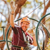 Treetops Adventure: Belgrave Park — gallery 2