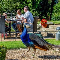 Warwick Castle Entry Tickets — gallery 4