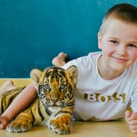 Tiger Park Tickets — gallery 2
