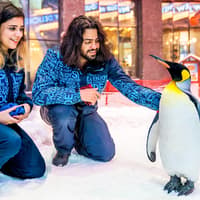 Ski Dubai: Snow Premium Tickets with Penguin Encounter — gallery 1