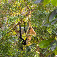 Bioparc Fuengirola Tickets — gallery 5