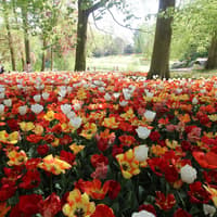 Groot-Bijgaarden Castle: Floralia Brussels Entry Ticket — gallery 2