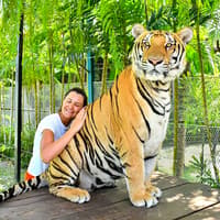 Tiger Park Tickets with Tiger Play Packages: Non-Thai Residents — gallery 1