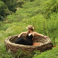 Bali Swing: Entry Ticket — gallery 2
