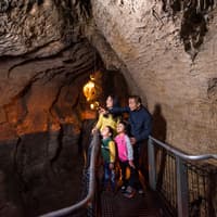 Aranui Cave Guided Tour — gallery 2