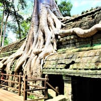 Angkor Wat: Sunrise Guided Tour — gallery 1