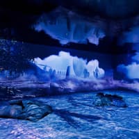 بلیط ورود به نمایشگاه تعاملی وایکینگ‌ها, The Viking Immersive Exhibition, Rouen