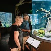 Cairns Aquarium & Tomb of the Pharaohs: Entry Ticket — gallery 1