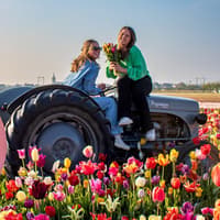 The Tulip Barn: Entry Ticket — gallery 3