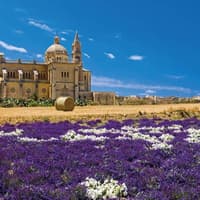 Gozo Jeep Safari — gallery 4