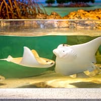 Seattle Aquarium: Entry Ticket, Seattle Aquarium, Seattle
