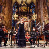 St. Stephen's Cathedral: Vivaldi's Four Seasons Concert — gallery 1
