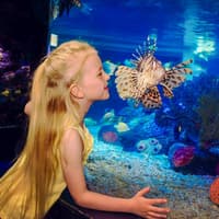 SEA LIFE London Aquarium Behind The Scenes Tour — gallery 1