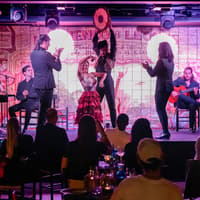 Flamenco De Leones - Flamenco Show — gallery 5