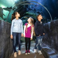 SEA LIFE Munich Ticket — gallery 1