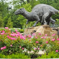 Atlanta CityPASS® — gallery 2