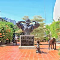 Historical Malacca Tour with Lunch from Kuala Lumpur — gallery 3