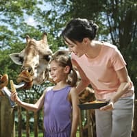 Singapore Zoo: Entry Ticket + Hotel Pickup — gallery 1