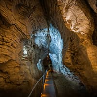 Ruakuri Cave Guided Tour — gallery 2