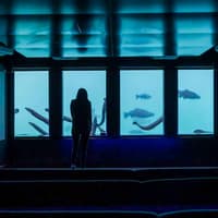 Time Tripper: Hidden Underwater Theatre Experience Tickets — gallery 3