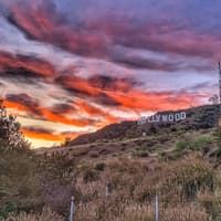 Hollywood Sign Los Angeles: 1-Hr Guided Tour — gallery 4