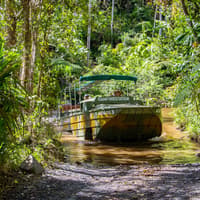 Rainforestation Nature Park — gallery 3