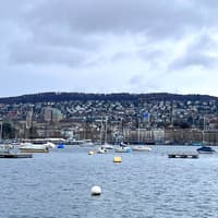 Zürich Guided Tour with Cable Car & Sightseeing Cruise — gallery 2