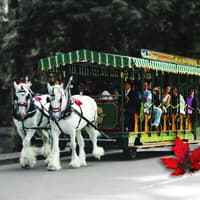 Vancouver: Stanley Park Horse-Drawn Guided Tour — gallery 1