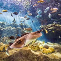 Tampa Family Fun Pass — gallery 3
