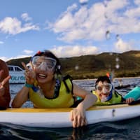 Oahu: Guided Dolphin Watching Sunset Cruise + Snorkeling + Buffet — gallery 1