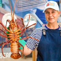 10-stündige geführte Tour zu den Pinnacles in Australien mit Mittagessen und Hin- und Rücktransfer zum Hotel, Perth